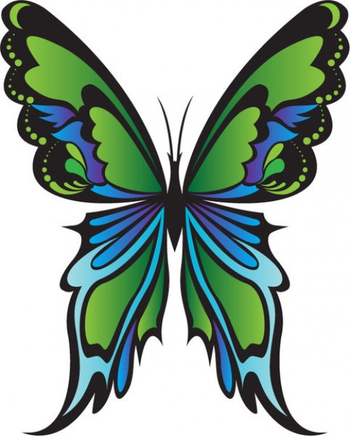 green butterfly vector | Download free Vector