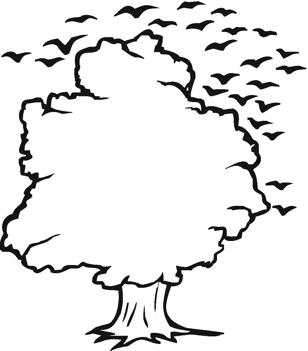 Tree and Birds Outline Coloring Online | Super Coloring