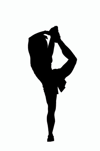 Cheerleading Silhouette Mardelcielo - InspiriToo.