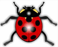 Free Ladybirds Clipart, Free Ladybird Clipart - Pure Clipart