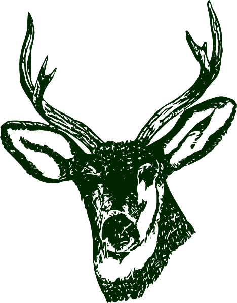 Green Stag Head clip art - vector clip art online, royalty free ...