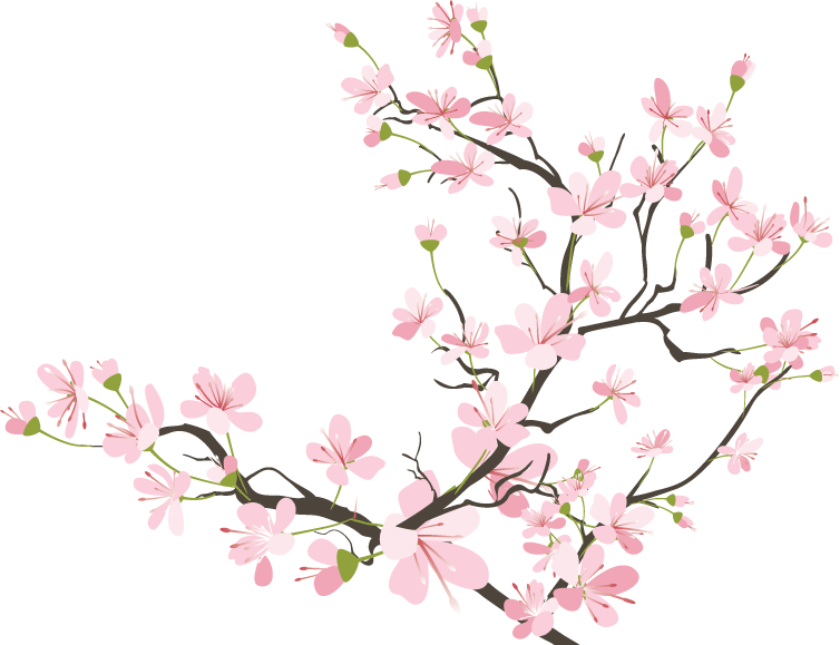 Japanese Cherry Blossom Clip Art ClipArt Best