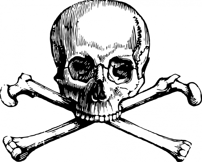 Cool Skull Clip Art (and Funny!)
