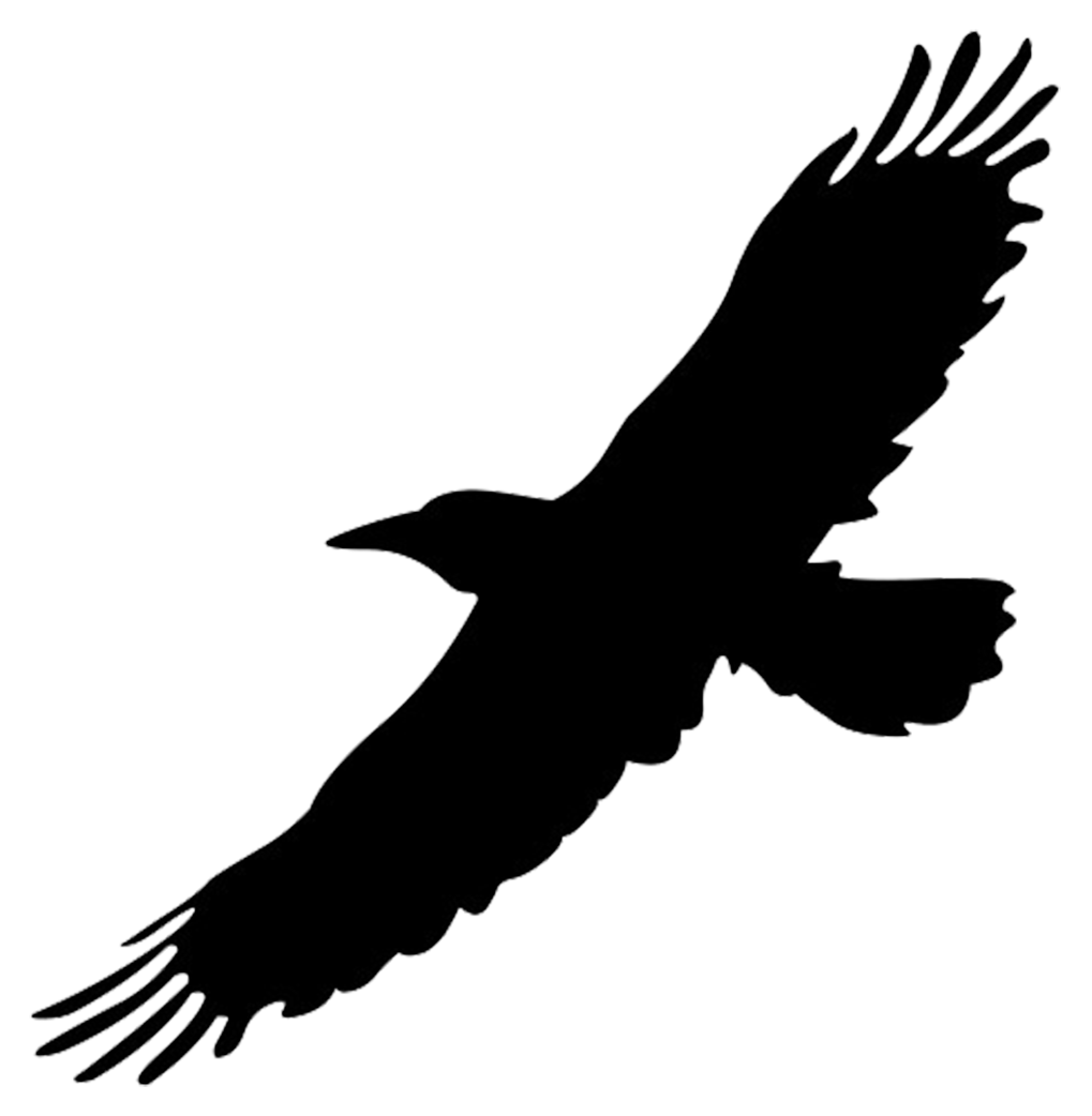 Flying Crow Silhouette Clipart