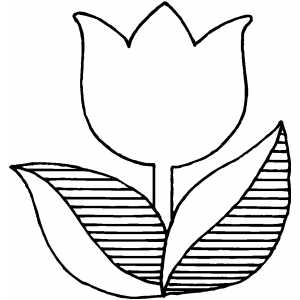 tulip coloring pages | My coloring pages