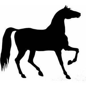 Horse silhouette stencil - Polyvore
