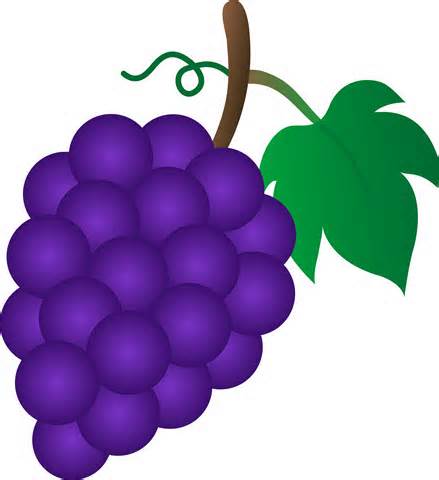 Grapes clipart free