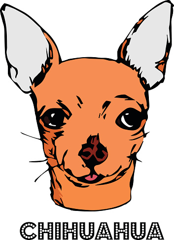 Chihuahua Drawing Clip Art, Vector Images & Illustrations