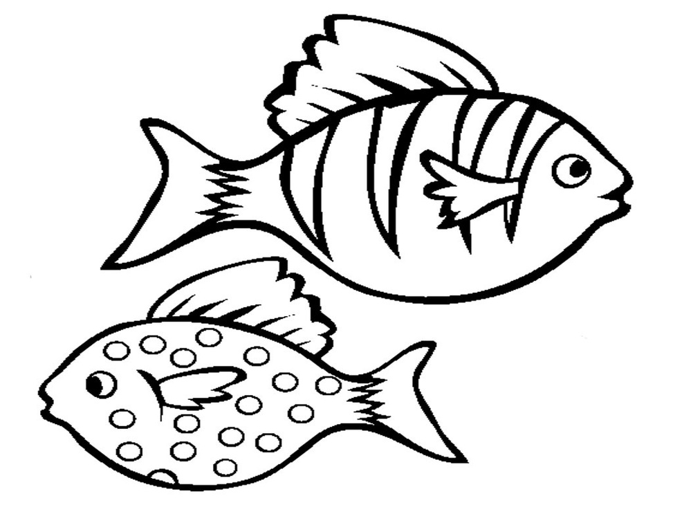 Tropical Fish Outlines Clipart - Free to use Clip Art Resource