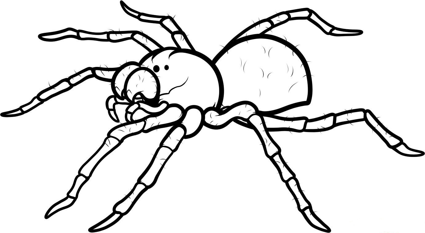 Printable spider coloring pages - ColoringStar