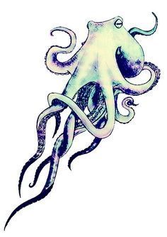 Octopus drawing, Eyes and Drawings