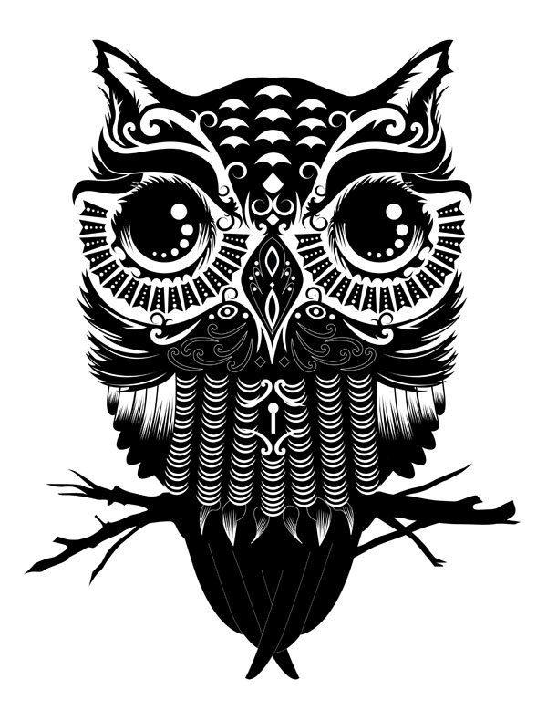 Owl Illustration on Behance