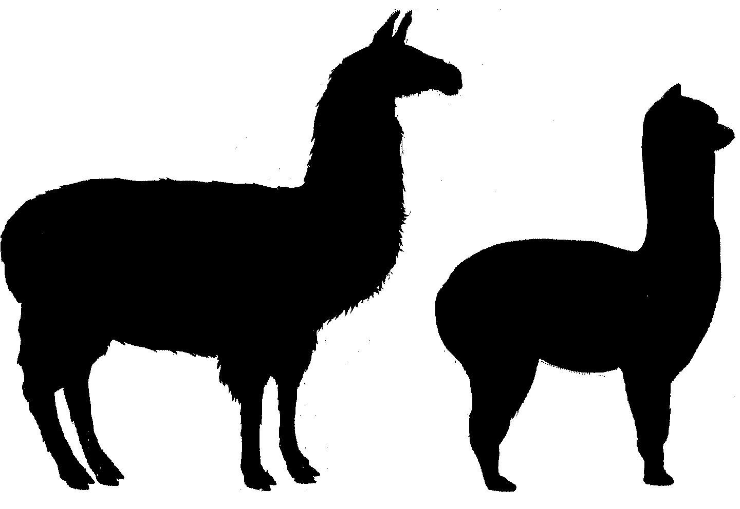 Alpaca Llama Silhouette