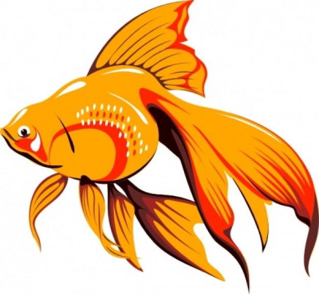 Golden Fish clip art | Download free Vector