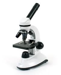 620 views Microscope Parts Assessment - Secondary School at Sage ...