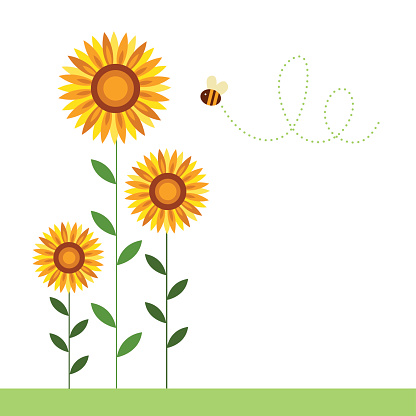 Sunflower Clip Art, Vector Images & Illustrations