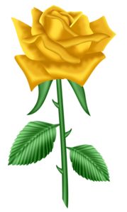 yellow rose clip art – Clipart Free Download