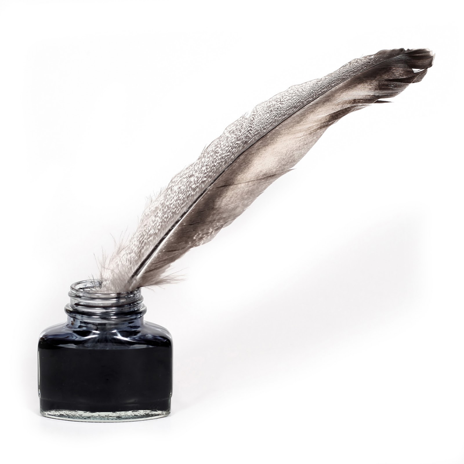 Writing With A Feather Quill Pen | Images Guru