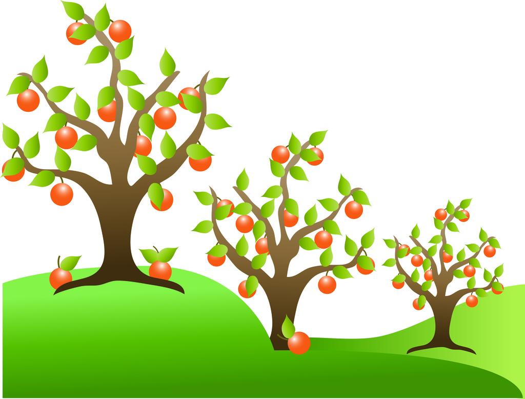 63+ Trees With Fruits Clip Art