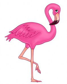 Flamingos, Pink flamingos and Cartoon