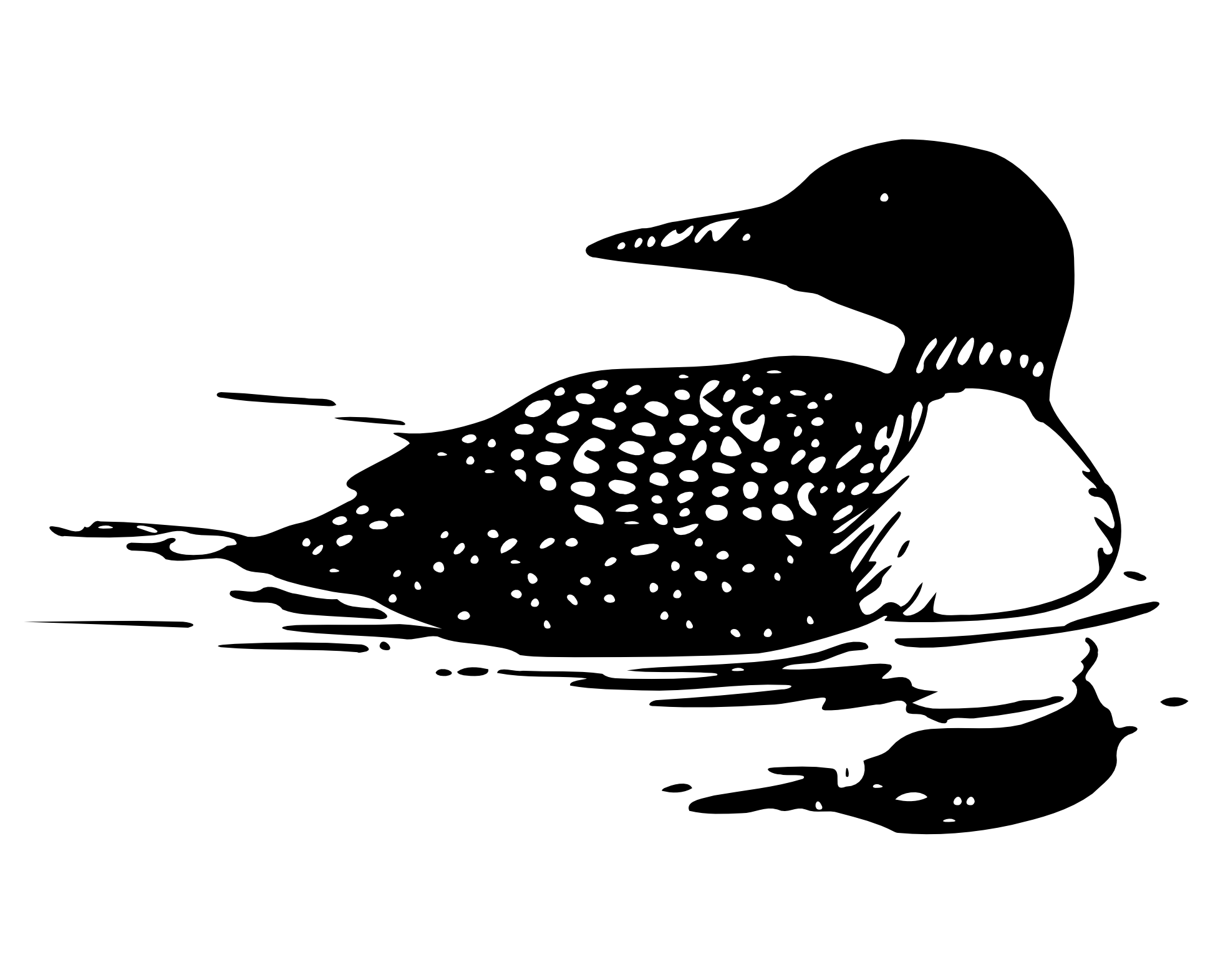 ryanlerch common loon SVG