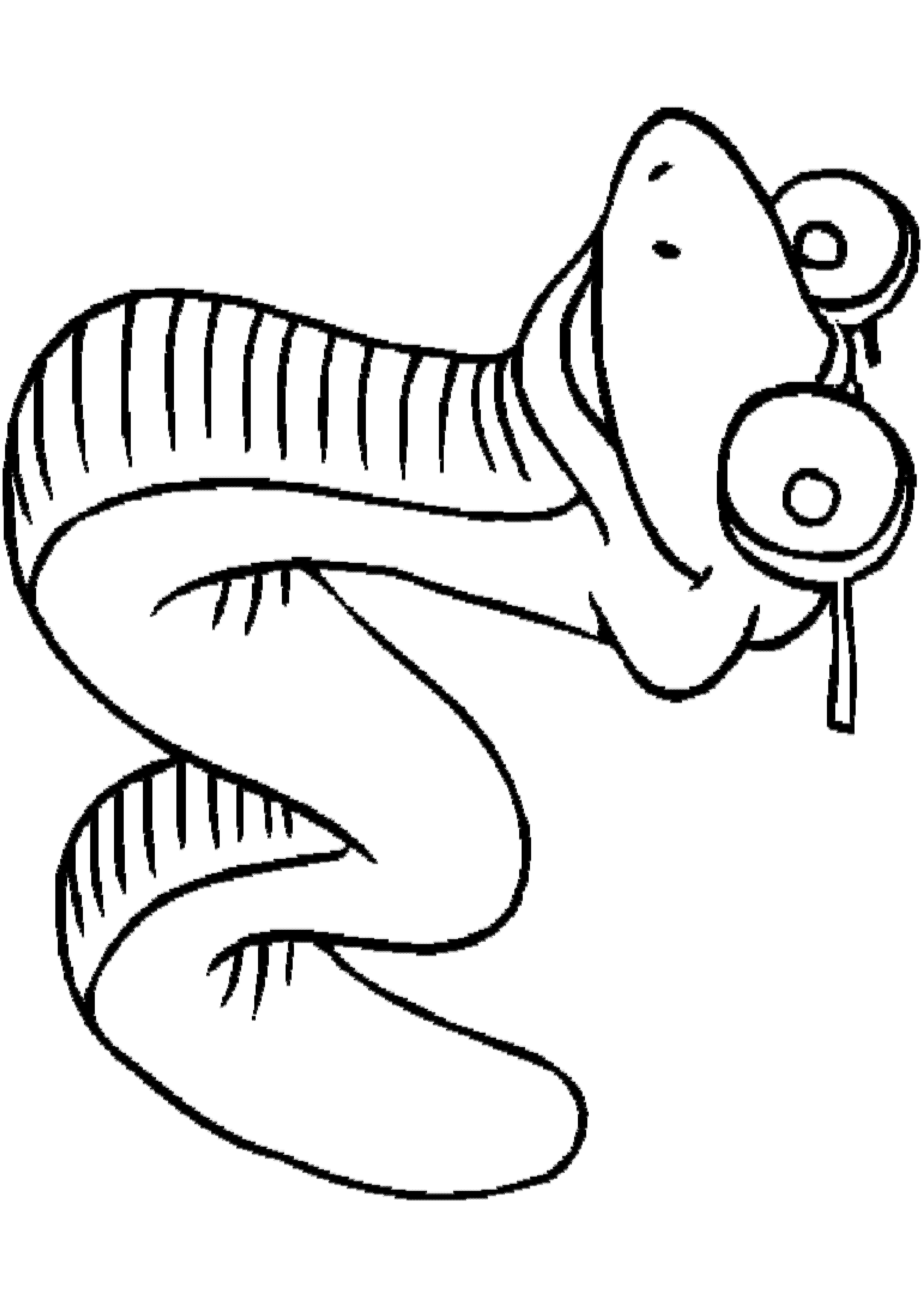 Snake Animal Coloring Pages | Print Colouring Pages - ClipArt Best ...