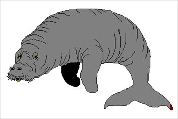 Free manatee Clipart - Free Clipart Graphics, Images and Photos ...