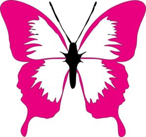 1000+ images about NEW PINK &BLACK BUTTERFLY
