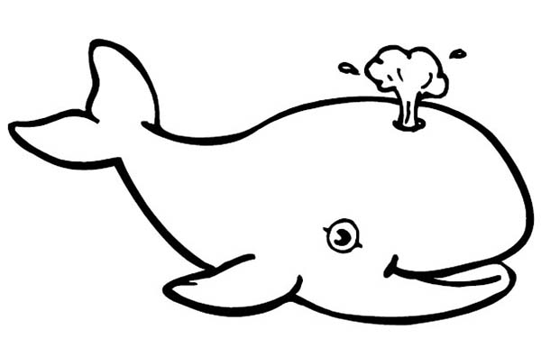 Baby Whale Coloring Page | Kids Play Color