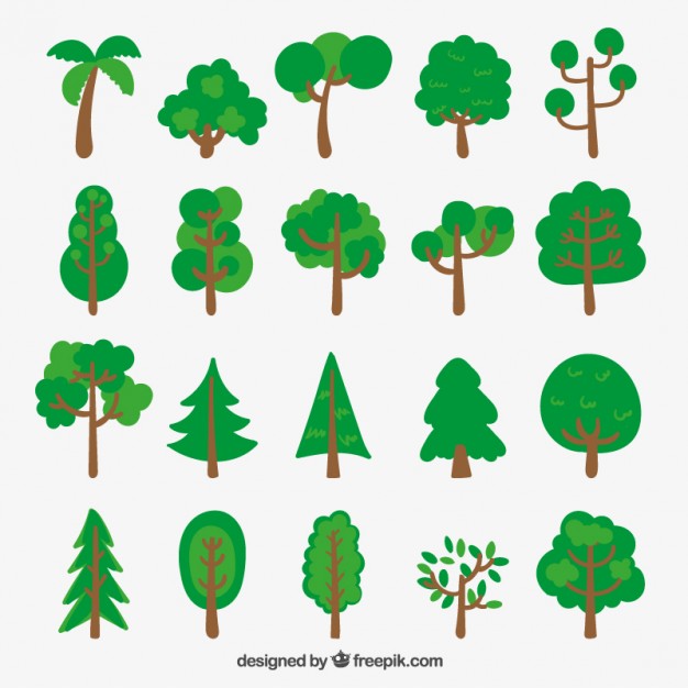 Pine Tree Vectors, Photos and PSD files | Free Download