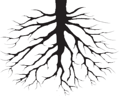 Tree roots real looking clipart png