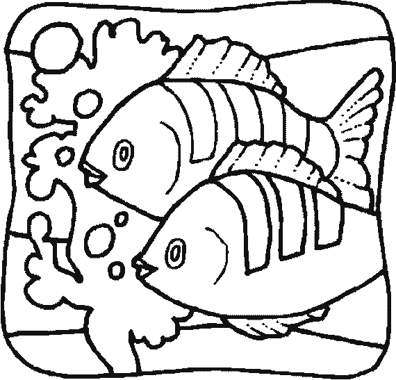 Colour Picture And Fish - ClipArt Best