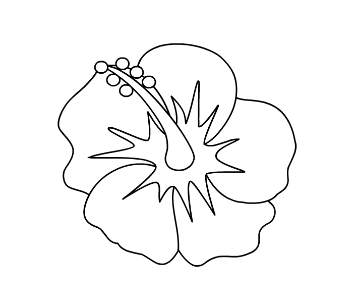 Hibiscus Printable Coloring Pages Hibiscus Printable Coloring Pages