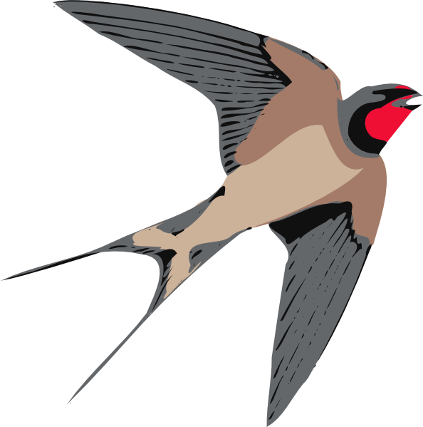 Sparrow Clip art - Animal - Download vector clip art online