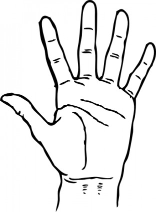 Hand Palm Facing Out clip art Free vector in Open office drawing ...