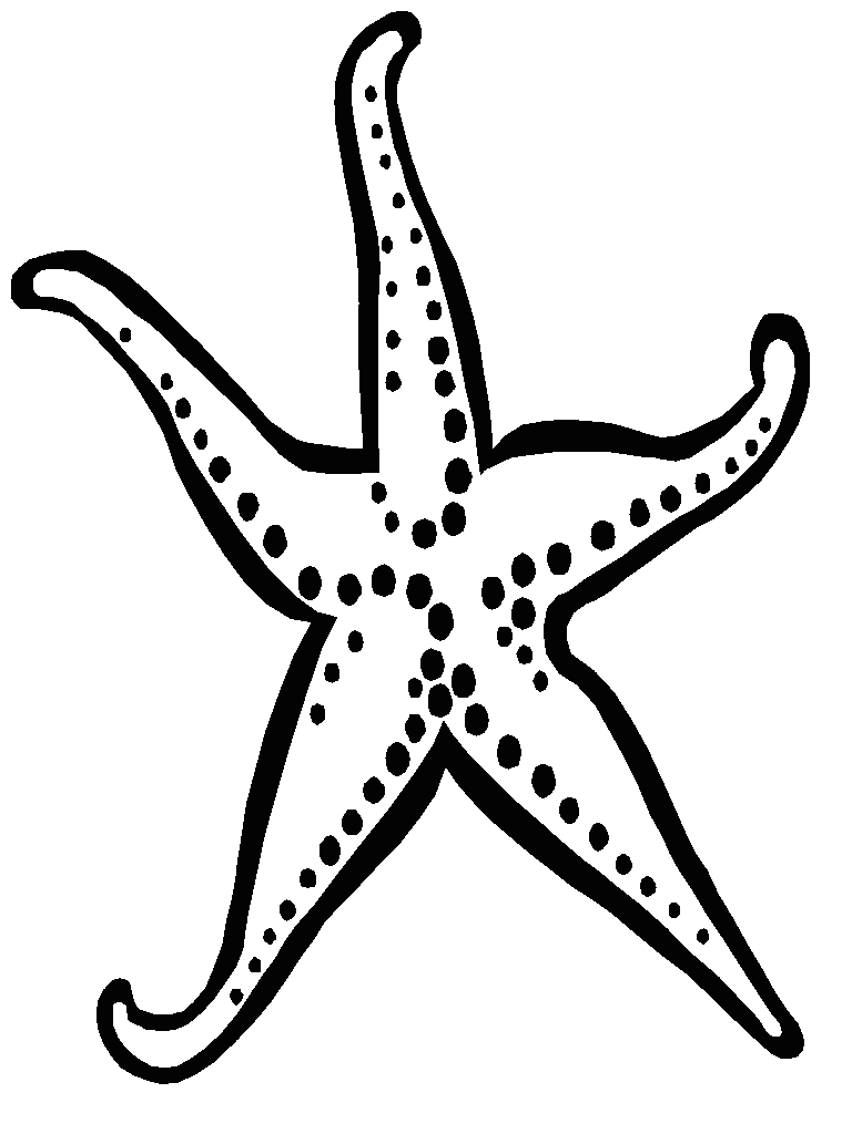starfish-craft-outline-clipart-best