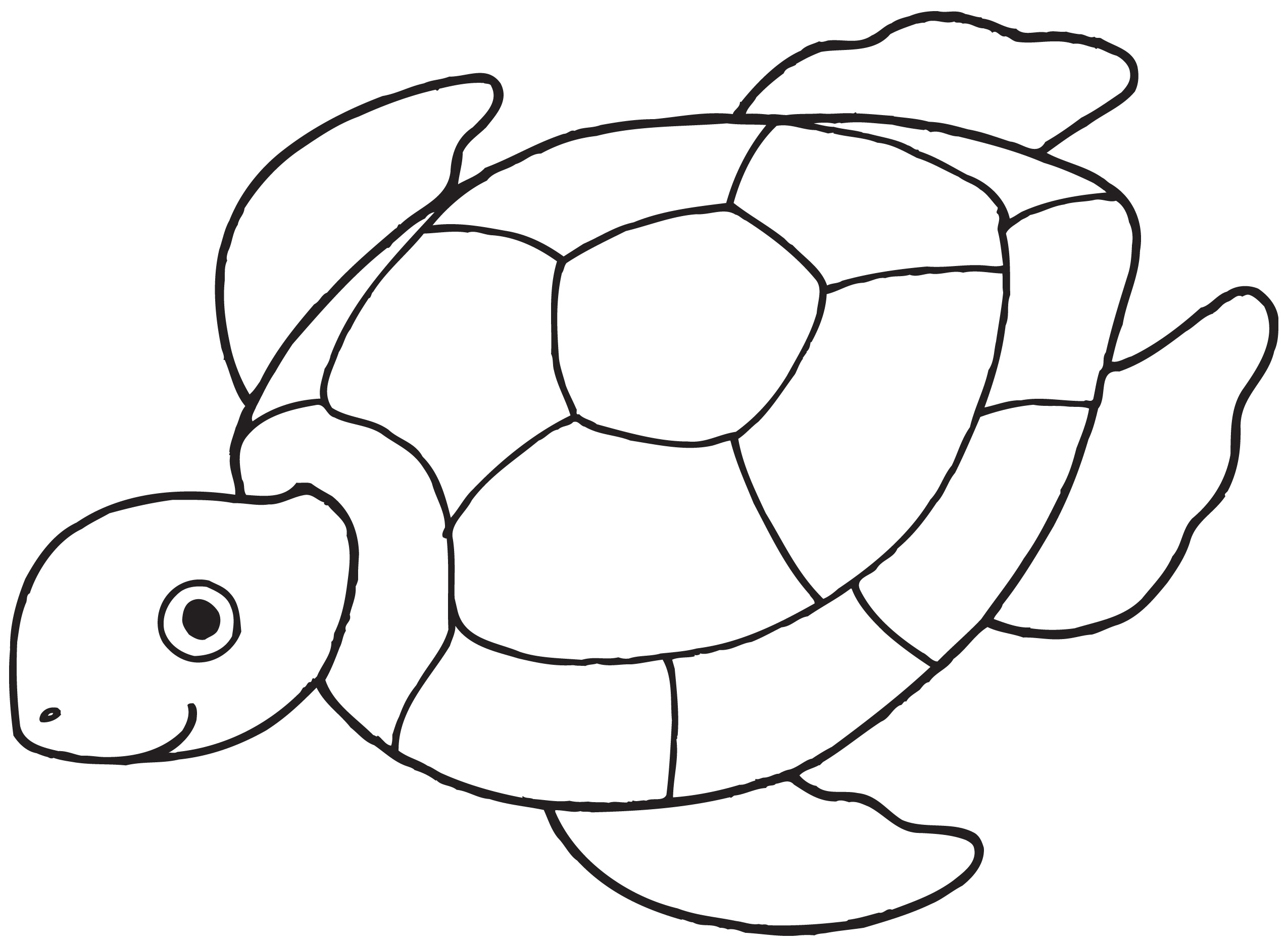 free turtle clipart black and white - photo #4