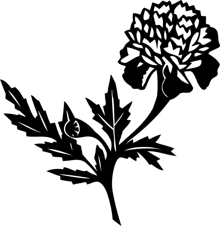 marigold flower clip art free - photo #27