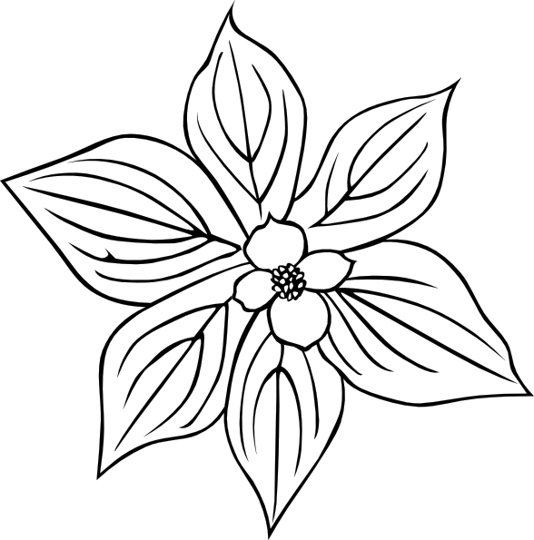 Wild Flower With Petals clip art - vector clip art online, royalty ...