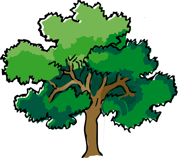 Cartoon Oak Tree - ClipArt Best