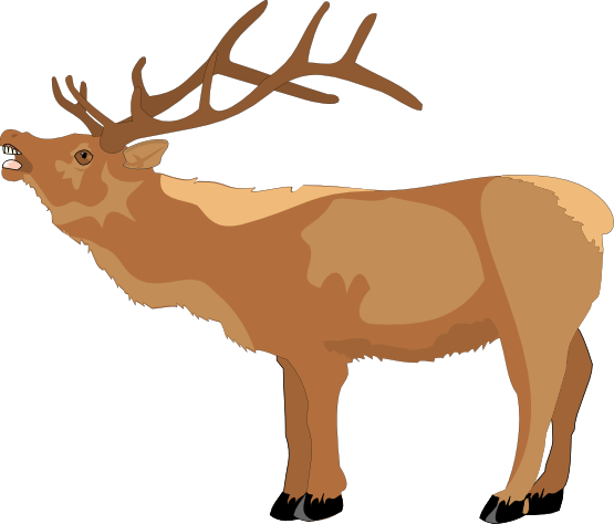 Clip Art: Reindeer Raindeer Animal 5 Christmas ...