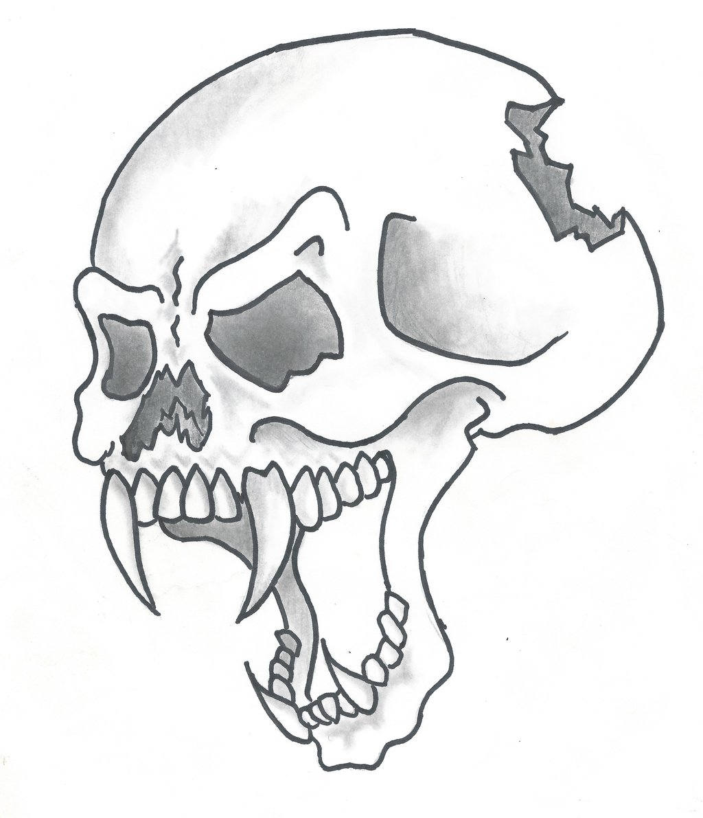 Pictures Of Drawings Of Skulls | Free Download Clip Art | Free ...