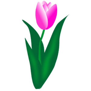 clip art. Click pink tulip - Polyvore