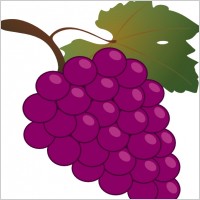 Vector grapes wine clip Free vector for free download (about 9 files).