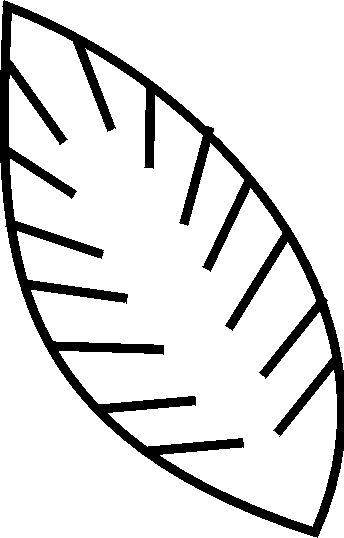 Palm Tree Leaf Template Printable | Mewarnai