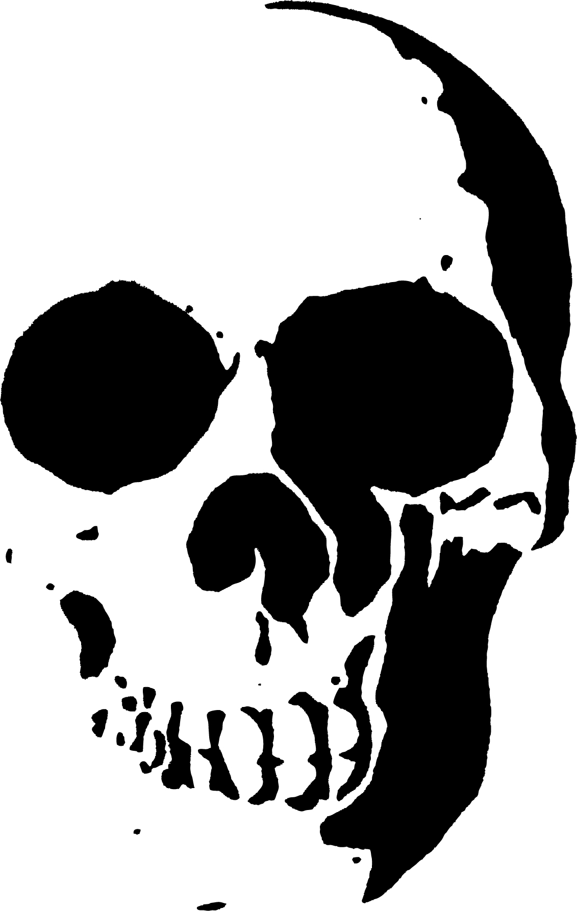 stencil me in | Stencil, Sugar Skull and Skull Stencil