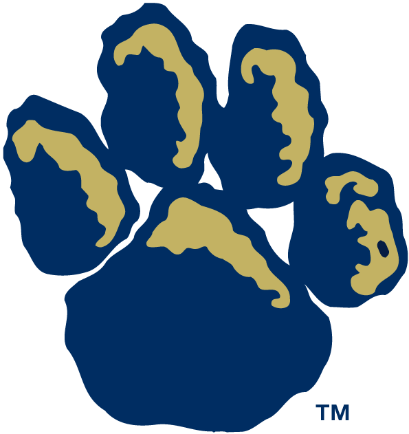 Pittsburgh Panthers Alternate Logo - NCAA Division I (n-r) (NCAA ...