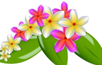 Plumeria Vector Flowers Vector flower - Free vector for free download