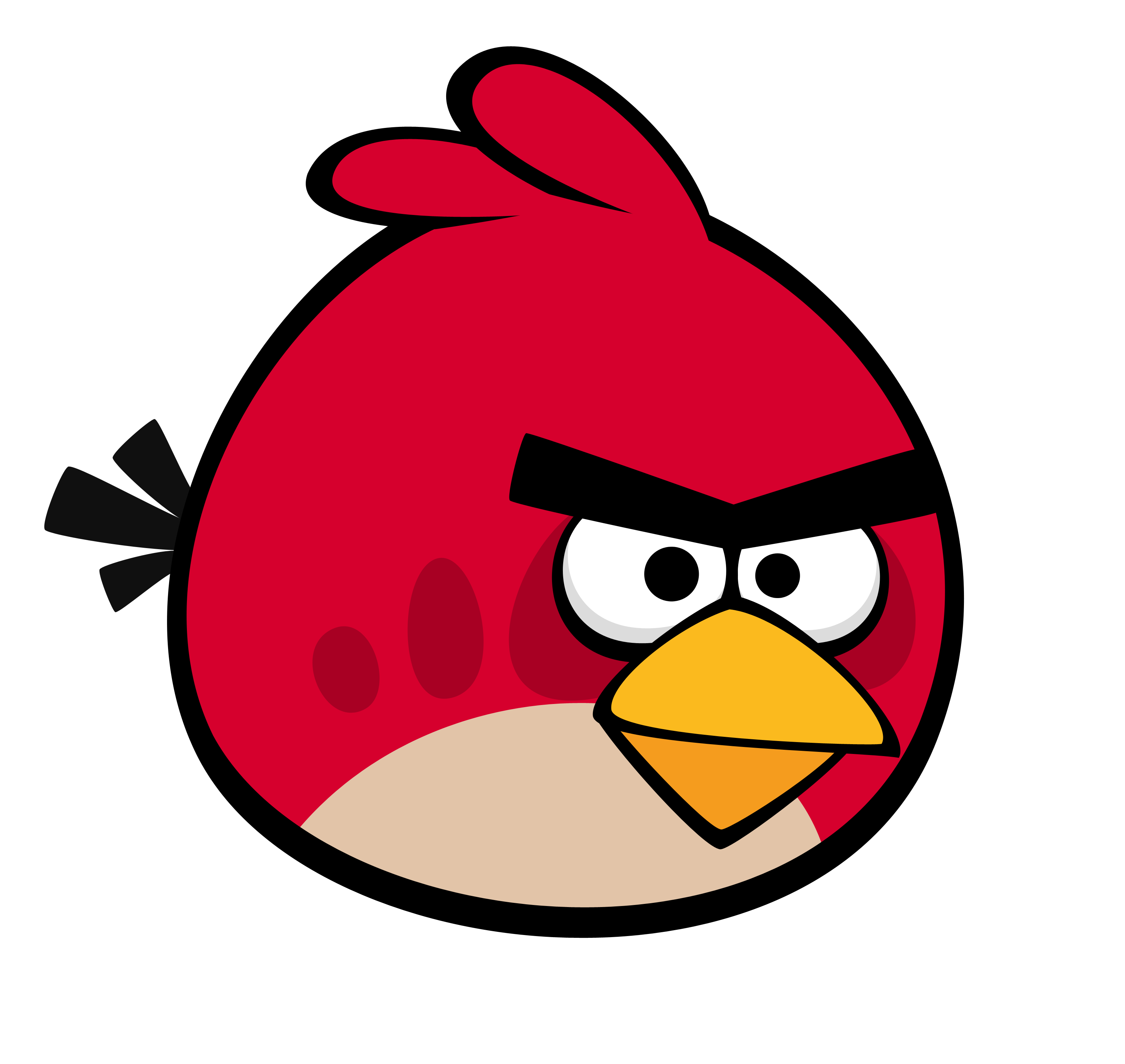 Birds | Angry Birds Roleplay Wiki | Fandom powered by Wikia