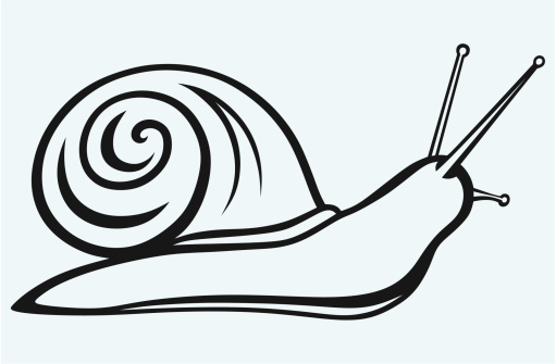 Snail clipart outline
